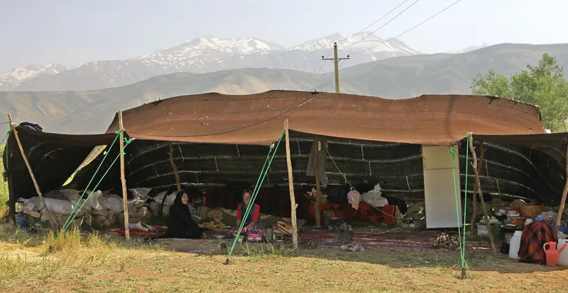 تجربه‌ی زندگی عشایر بختیاری؛ کوچ، سیاه‌چادر و مهمان‌نوازی