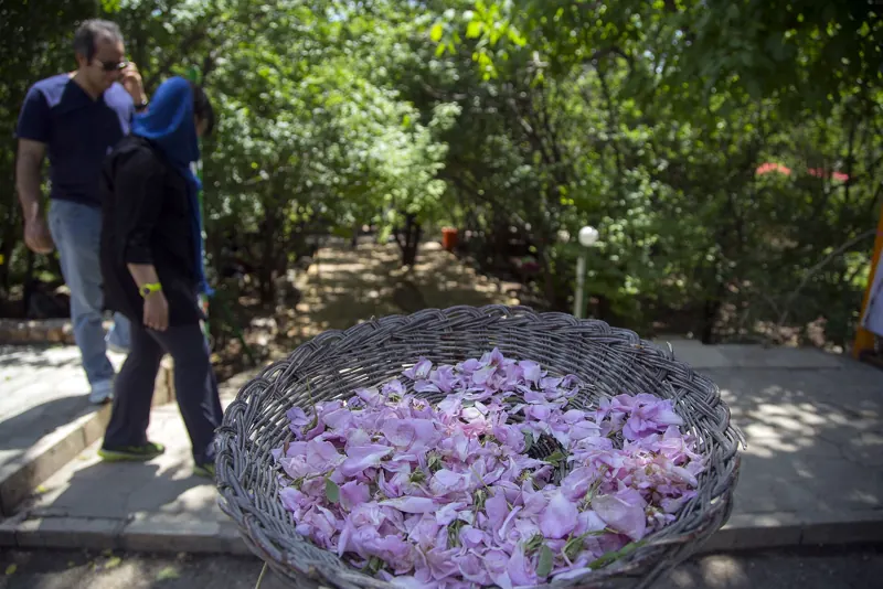 جشن‌ها و آیین‌های محلی ایران؛ تقویمی برای سفرهای فرهنگی