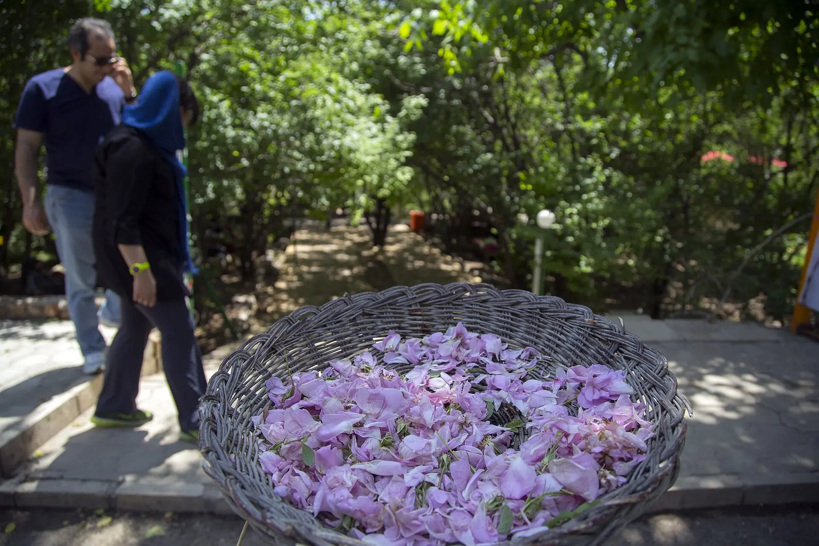 جشنها و آیینهای محلی ایران؛ تقویمی برای سفرهای فرهنگی